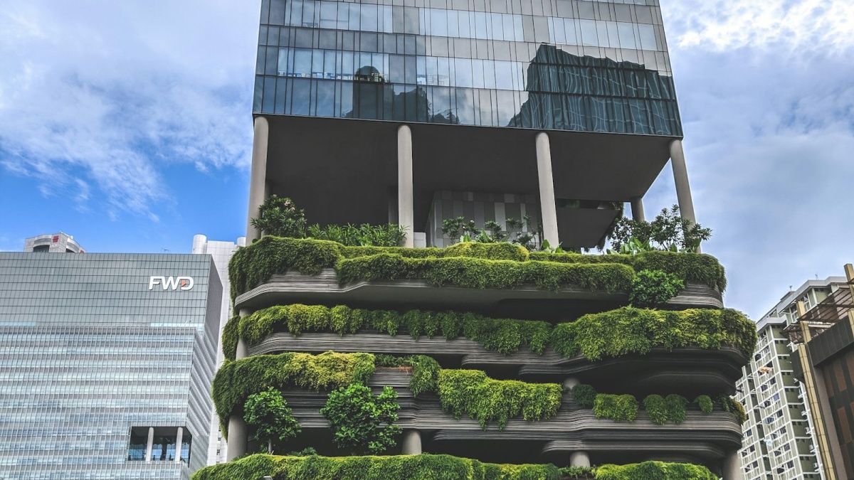 新手入门虚拟角色，该如何保存创建形象？